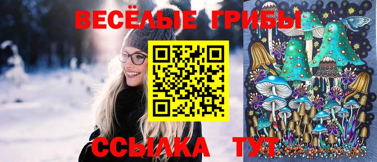 Узловая  Галлюциногенные грибы Psilocybe  Вход с VPN 